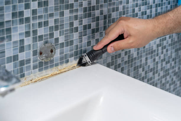 Best Emergency Mold Removal  in Glenwood, IA